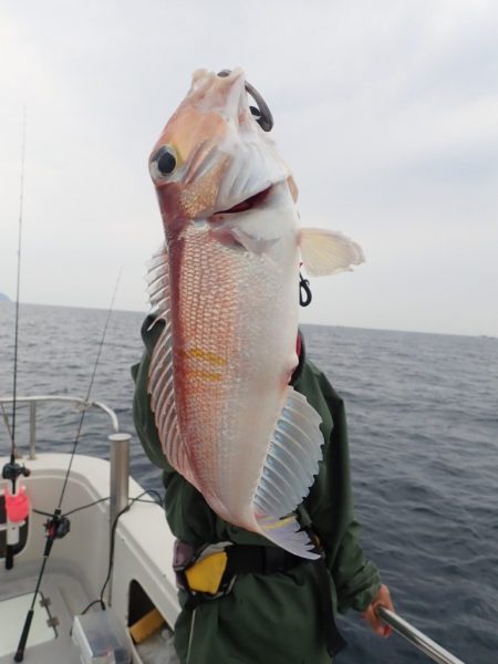 Aquanaut(アクアノート) 釣果