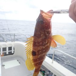 Aquanaut(アクアノート) 釣果