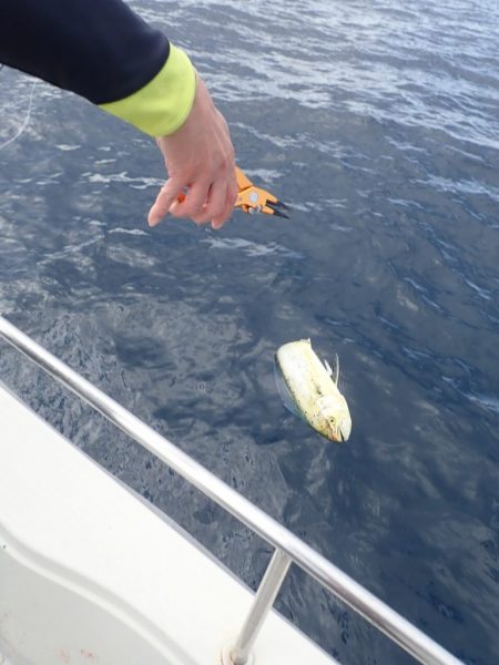 Aquanaut(アクアノート) 釣果