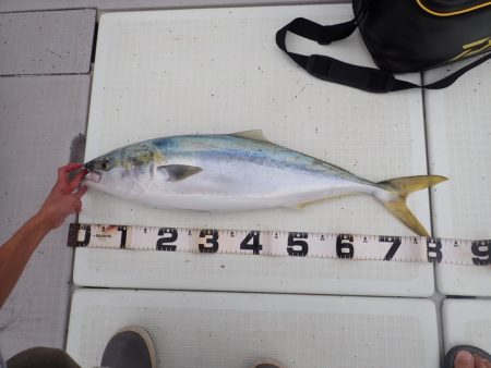 Aquanaut(アクアノート) 釣果