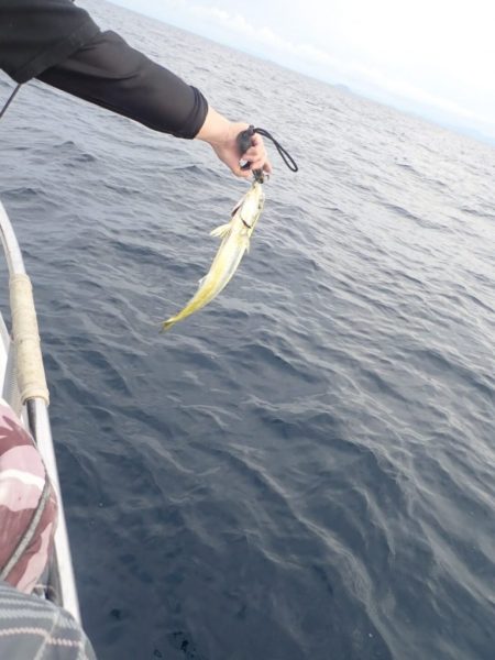 Aquanaut(アクアノート) 釣果