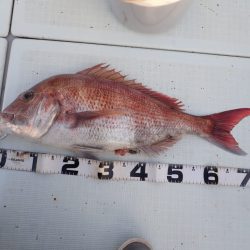 Aquanaut(アクアノート) 釣果