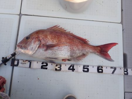 Aquanaut(アクアノート) 釣果