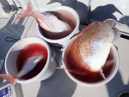 Aquanaut(アクアノート) 釣果