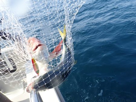 Aquanaut(アクアノート) 釣果