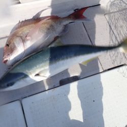 Aquanaut(アクアノート) 釣果