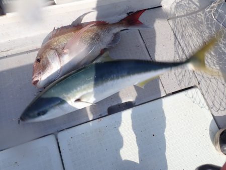 Aquanaut(アクアノート) 釣果