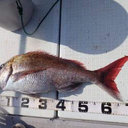 Aquanaut(アクアノート) 釣果