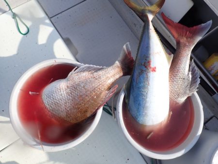 Aquanaut(アクアノート) 釣果