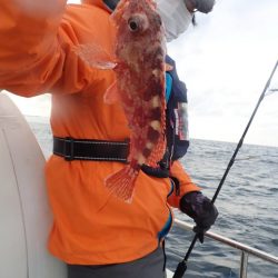 Aquanaut(アクアノート) 釣果