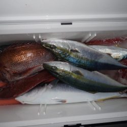 Aquanaut(アクアノート) 釣果