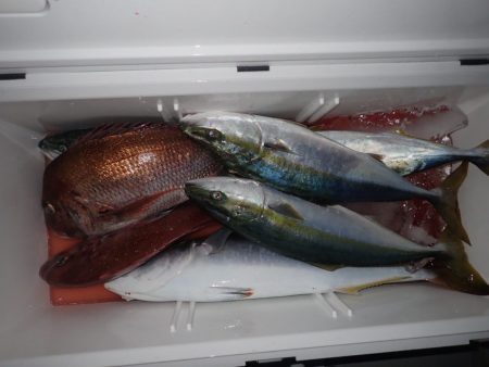 Aquanaut(アクアノート) 釣果