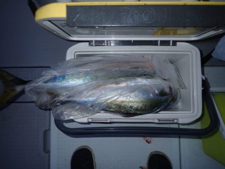 Aquanaut(アクアノート) 釣果