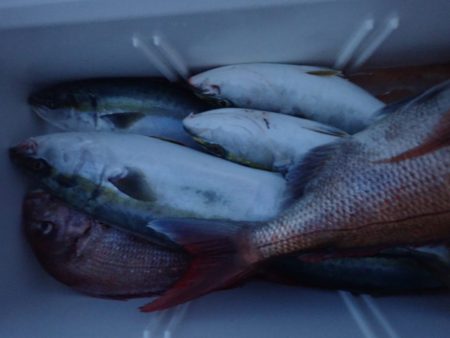 Aquanaut(アクアノート) 釣果