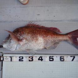 Aquanaut(アクアノート) 釣果