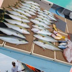 天童丸 釣果
