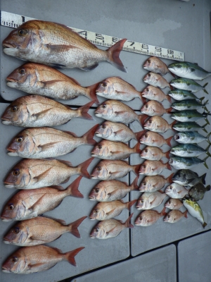 磯部釣船 直栄丸 釣果