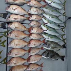 磯部釣船 直栄丸 釣果
