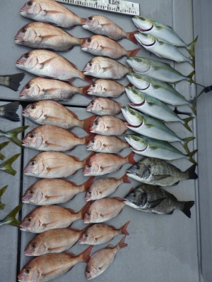 磯部釣船 直栄丸 釣果