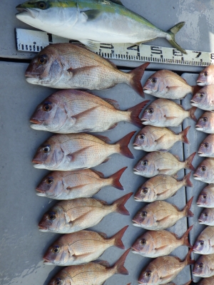 磯部釣船 直栄丸 釣果