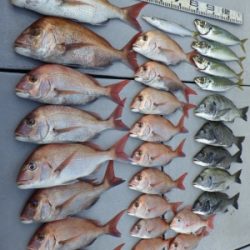 磯部釣船 直栄丸 釣果