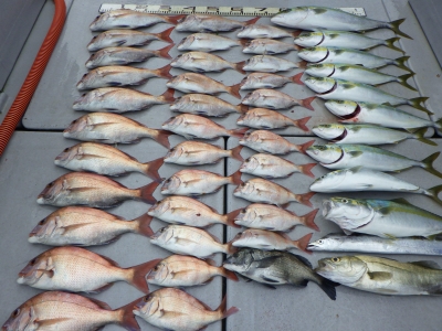 磯部釣船 直栄丸 釣果