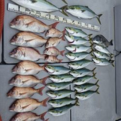 磯部釣船 直栄丸 釣果
