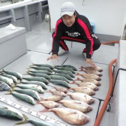 磯部釣船 直栄丸 釣果