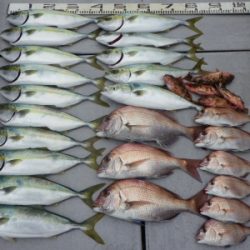 磯部釣船 直栄丸 釣果