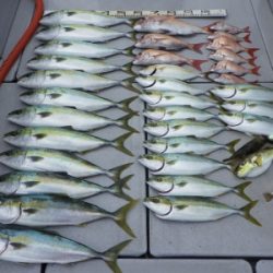 磯部釣船 直栄丸 釣果