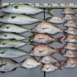 磯部釣船 直栄丸 釣果