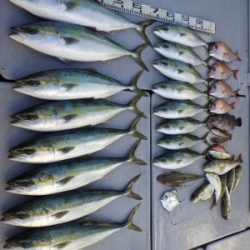 磯部釣船 直栄丸 釣果