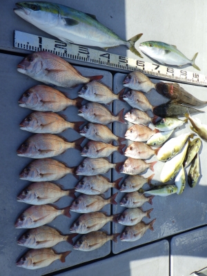 磯部釣船 直栄丸 釣果