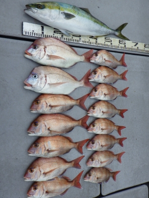 磯部釣船 直栄丸 釣果