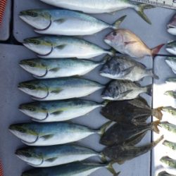 磯部釣船 直栄丸 釣果