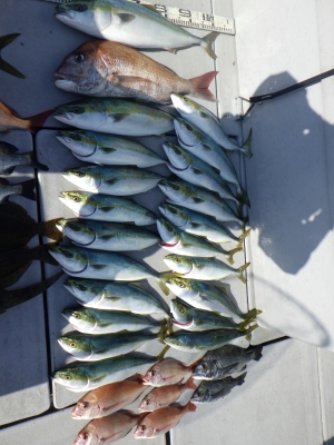 磯部釣船 直栄丸 釣果