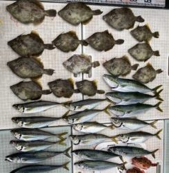 さぶろう丸 釣果