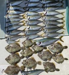 さぶろう丸 釣果