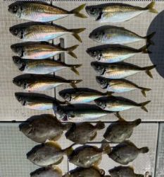 さぶろう丸 釣果