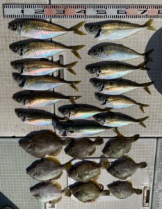 さぶろう丸 釣果