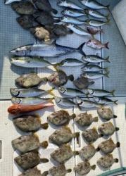 さぶろう丸 釣果