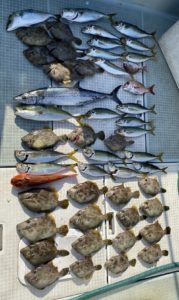 さぶろう丸 釣果
