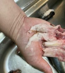 さぶろう丸 釣果