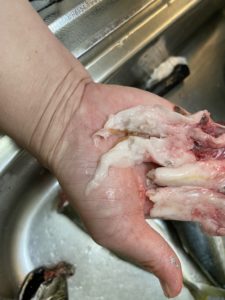 さぶろう丸 釣果