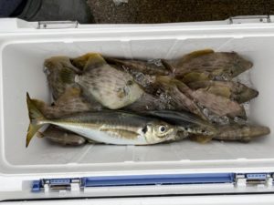 さぶろう丸 釣果