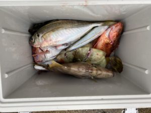 さぶろう丸 釣果