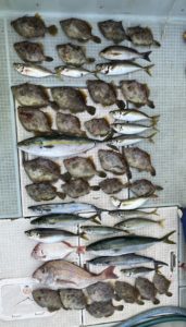 さぶろう丸 釣果