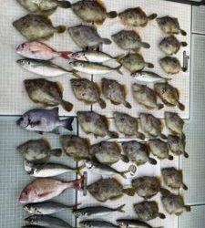 さぶろう丸 釣果