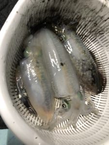 さぶろう丸 釣果