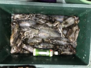 さぶろう丸 釣果